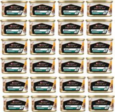 mokra karma dla kota purina pro plan adult maintenance pasztet z kurczakiem