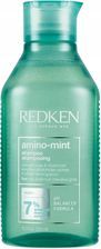 Szampon oczyszczający Redken Amino Mint